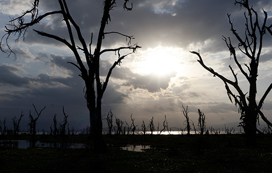 The 2025 Kenya team posing at Whitman