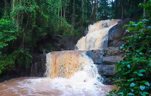 Karura Forest Waterfall