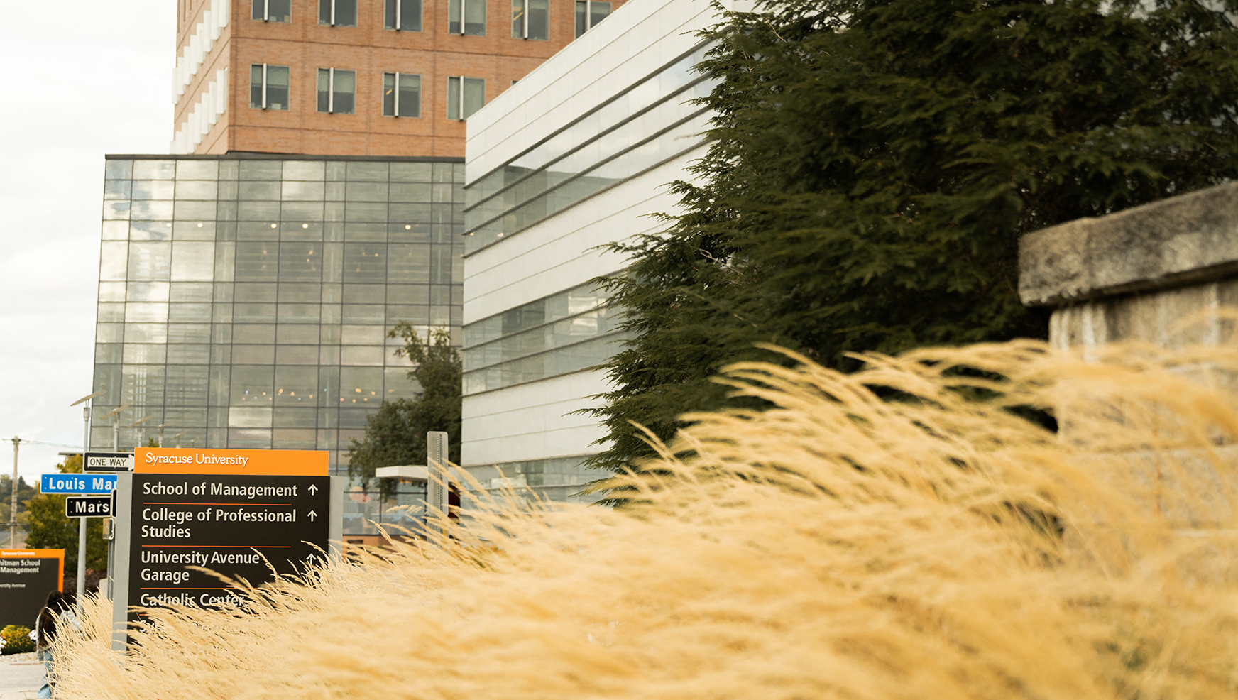 The Whitman building with ornamental grass in the foreground