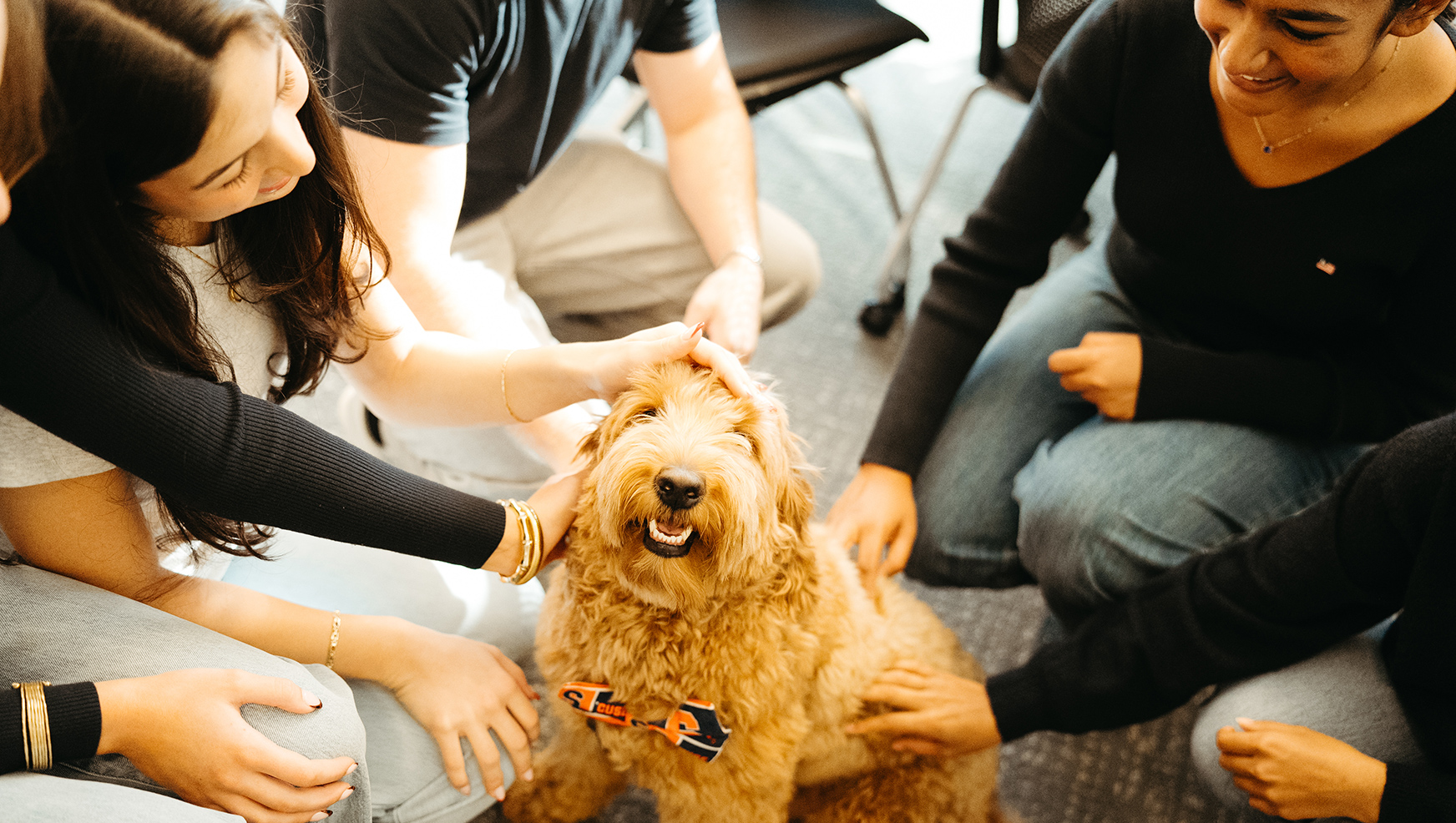 Students pet therapy dog