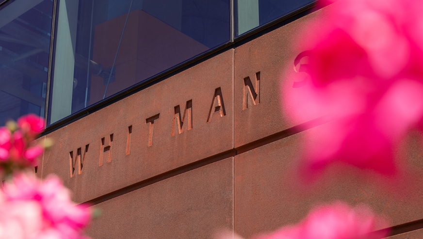 The Whitman School building sign with pink flowers